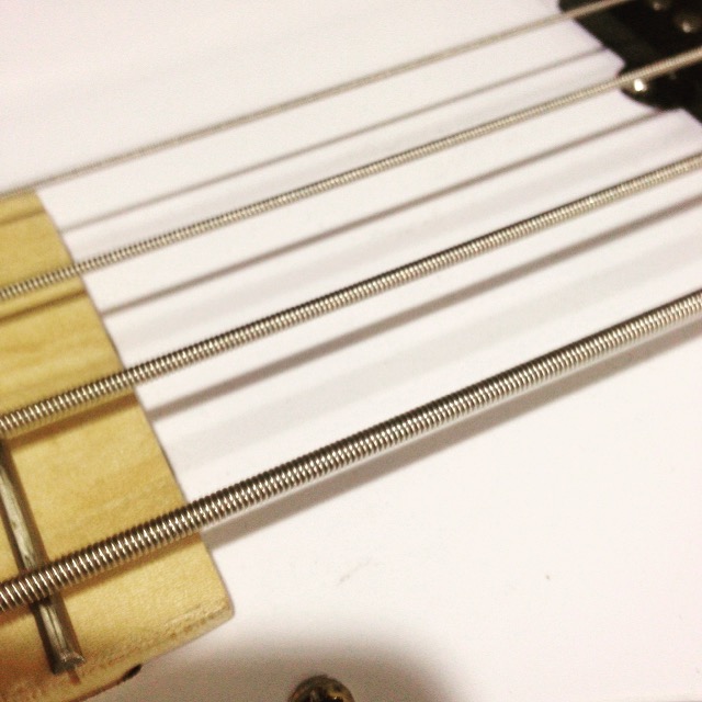 between the neck and the pickup on the Gamma electric bass
